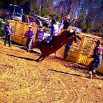 Ethan Melton - Facebook