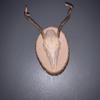 Ethan Melton - @ethan.melton0 - TikTok