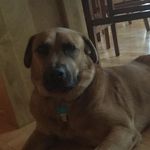 Ethan Millard - @ethan.millard.581 - Instagram