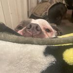 Ethan Millard - @the_local_mailman - Instagram