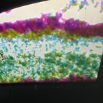 Ethan Millard - @ethanmillard - Instagram