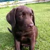 Ethan Minard - @ethan.minard - TikTok