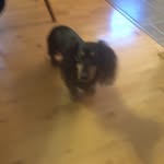 Ethan_moravec - @ethan_moravec - Instagram