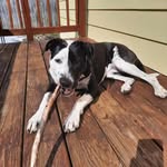 Ethan Moyer - @emoyer04 - Instagram