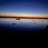 ethanmullen - @ethanmullen - TikTok