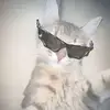Ethan_munoz - @ethan_munoz67 - TikTok