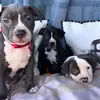 Ethan Munoz - @ethan.munoz71 - TikTok