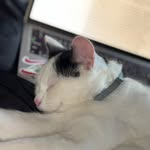 Ethan Noble - @ethan.noble_spry - Instagram