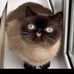 Ethan Noble - Facebook