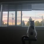 Ethan Noe - @ethanoe.21 - Instagram