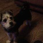 ETHAN norris - @ethan_norris26 - Instagram