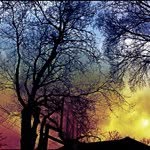 Ethan Nussbaum - @enussphotos - Instagram
