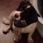 Reece Ethan Oates - @reece_the_master - Instagram