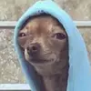 Ethan  obrien - @ethanobrien1550 - TikTok