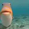 ethan :) - @ethan.ohl._ - TikTok