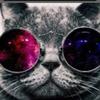 Osborn24 - @ethan.osborn - TikTok
