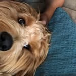 Ethan Pack - @ethanpack9 - Instagram