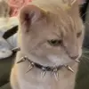 ethantpack - @ethan_pack - TikTok