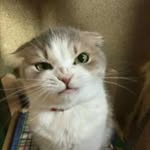 Ethan - @ethan.pagani - Instagram