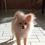 Ethan Palomo - Facebook