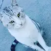 ethanpalomo - @ethanpalomo5 - TikTok
