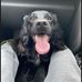 Ethan Parkin - Facebook