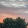ethanparnelljaw - @ethanparnelljaw - TikTok