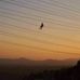 Ethan Parris - Facebook