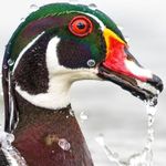 @ethan_parrott27 - Instagram