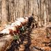Ethan Partain - Facebook