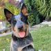 Ethan Patten - Facebook