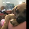 ethan.patten23 - @ethan.patten23 - TikTok
