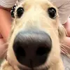 ethanpatten - @ethanpatten - TikTok