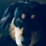 Ethan Peach - @waffleman10294 - Instagram
