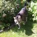 Ethan Peart - Facebook