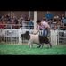 Ethan Pedersen - Facebook