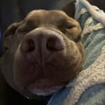 Ethan Pence - @spiritwolf81546 - Instagram