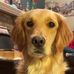 Ethan Penner - Facebook