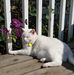 Ethan Penner - Facebook