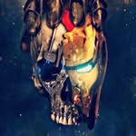 Ethan Percy - @ethanpercy10 - Instagram