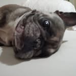 Ethan perryman - @ethanperryman - Instagram