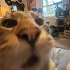 Ethan Petersen - @epetersen9098 - TikTok