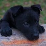 Ethan - @ethan___pettit - Instagram