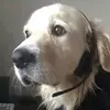 Ethanpetty109 - @ethan.petty199 - TikTok