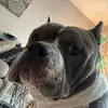 ethanpetty75 - @ethanpetty75 - TikTok