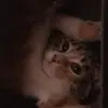 ethanpetty95 - @ethanpetty95 - TikTok