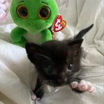 Ethan Phan - @3than.9han - Instagram