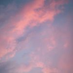 Ethan Phan Truong - @ethanphantruong - Instagram