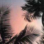 Ethan Pinchon - @ethan.pinchon.1 - Instagram