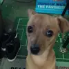 Ethan.Pinzon - @ethan.pinzon - TikTok